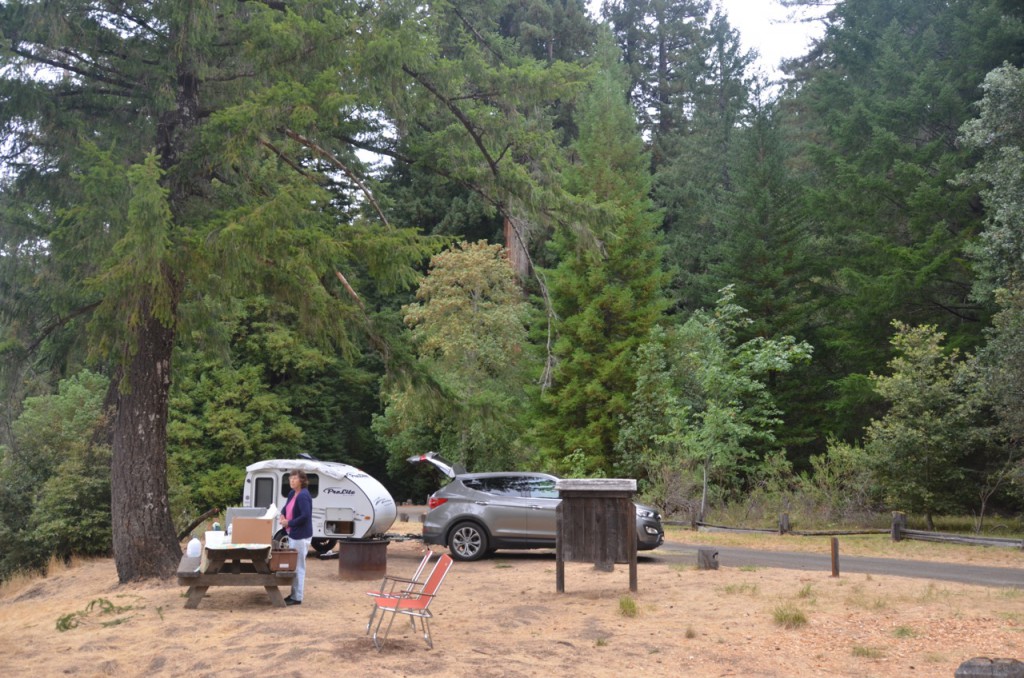 Camping in the Redwoods – SmallRVs